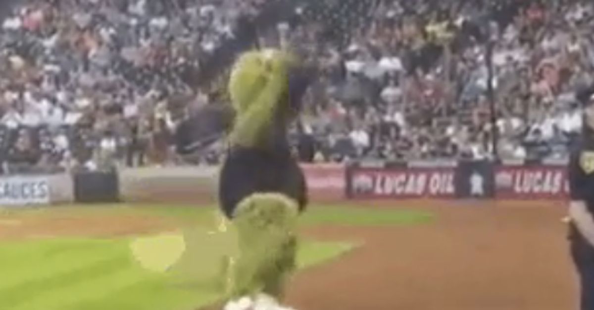 Astros mascot Orbit has better dance moves than you 