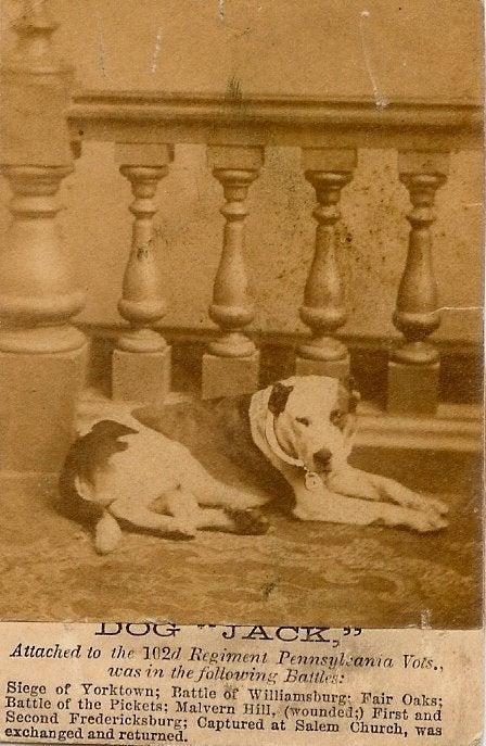 A newspaper clipping featuring Dog Jack.