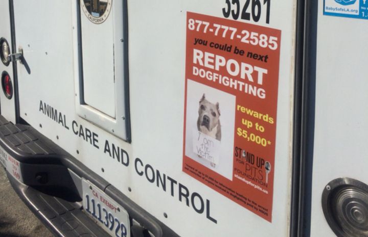 The dogfighting tipline is now being advertised on all of Los Angeles County's 100 animal care trucks.