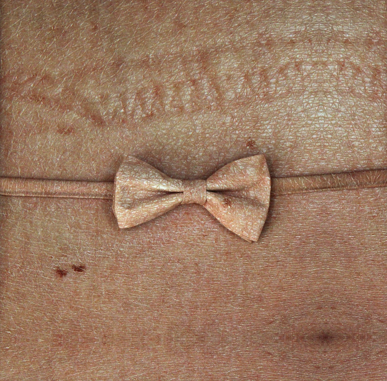<p>Familiar, 2015. Digital print on silk and cotton fabric, thread, Velcro, 19.7 x 19.7 in. (50 x 50 cm).</p>