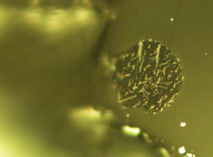 Microscopic bits of molten magma became trapped in glass crystals, preserving evidence of volatile gases. The crystals t