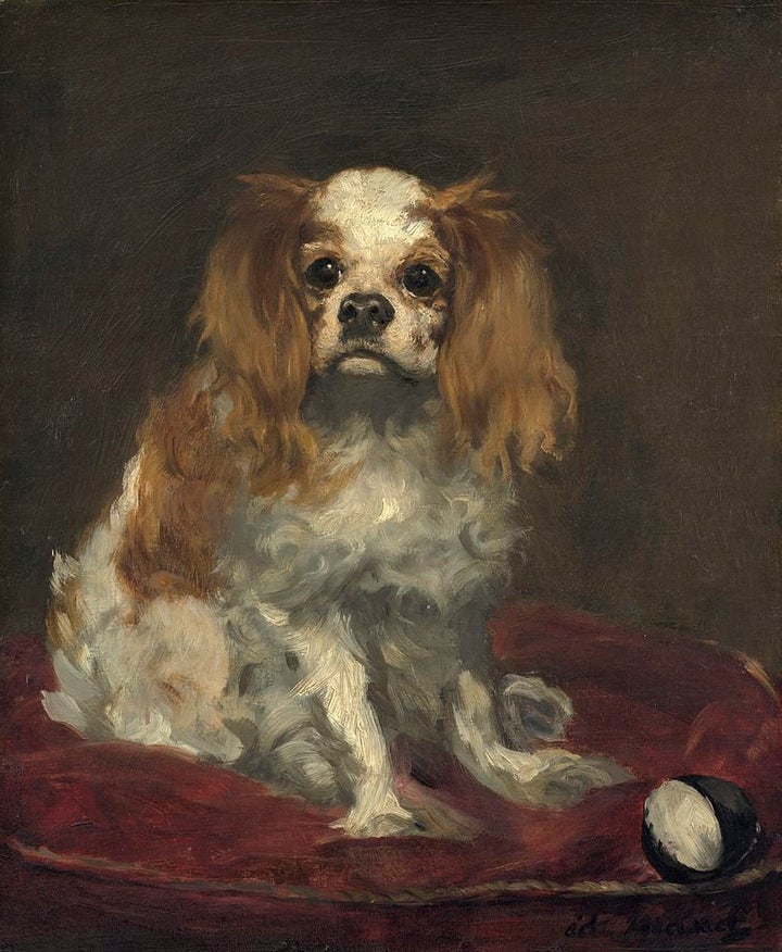 <a href="https://commons.wikimedia.org/wiki/File:%C3%89douard_Manet_-_A_King_Charles_Spaniel.jpg">Édouard Manet, "A Ki