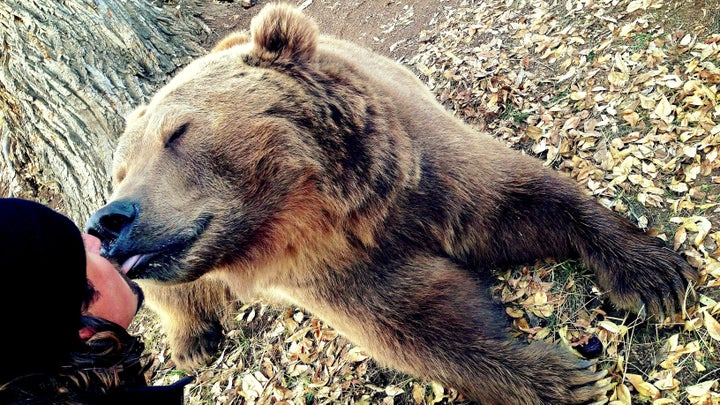 This Friendship Between Bear And Man Is Still Going Strong | HuffPost