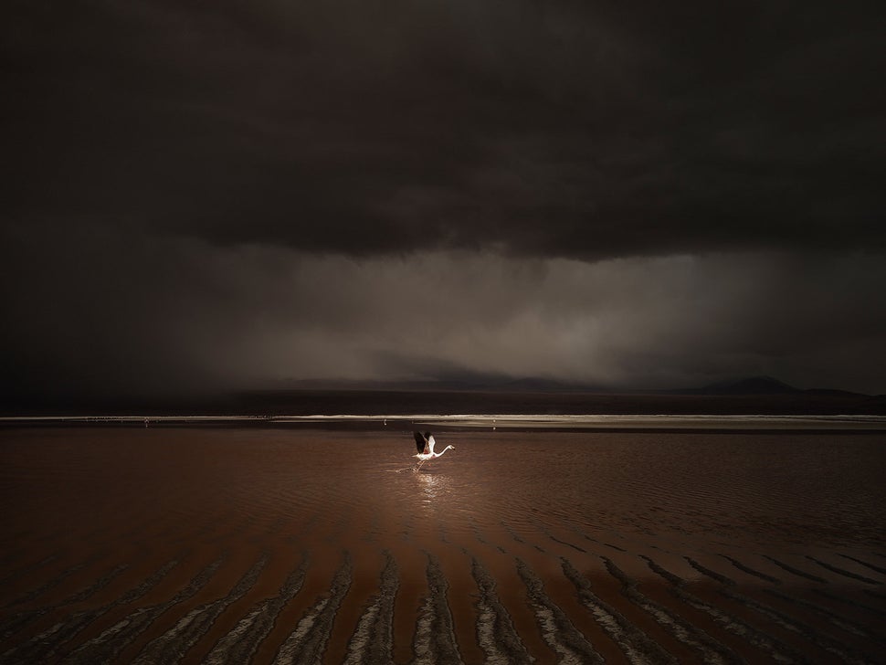 The International Landscape Photographer Of The Year Winners Will Leave