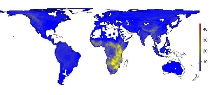 The current diversity of large mammals. It can clearly be seen that large numbers of species virtually only occur in Africa, and that there are generally far fewer species throughout the world than there could have been.