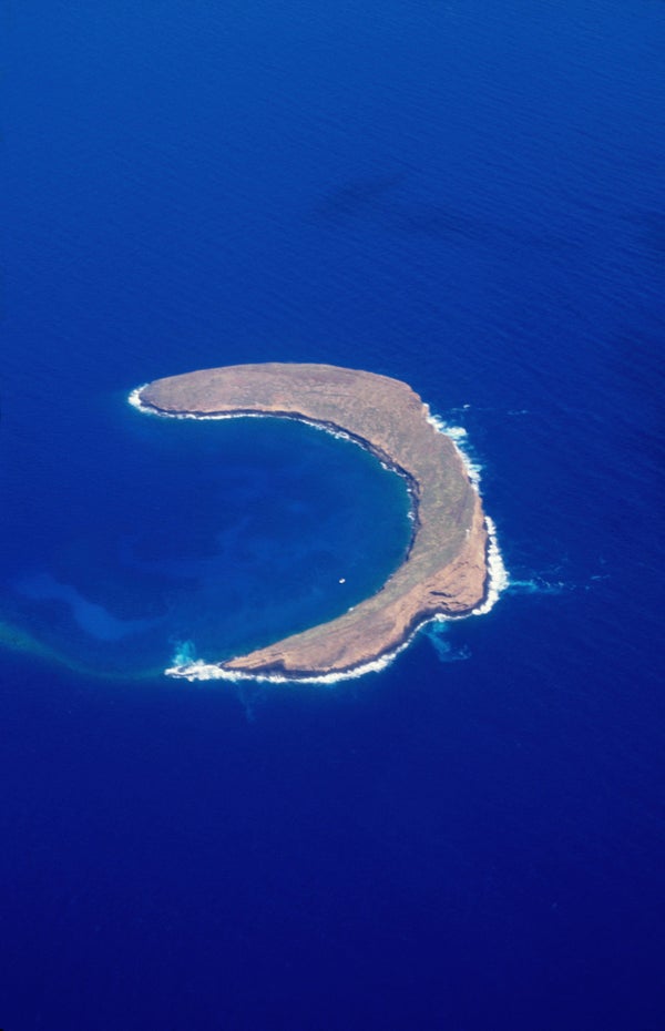 Hawaii Just Had A Record Number Of Visitors -- Here's Why