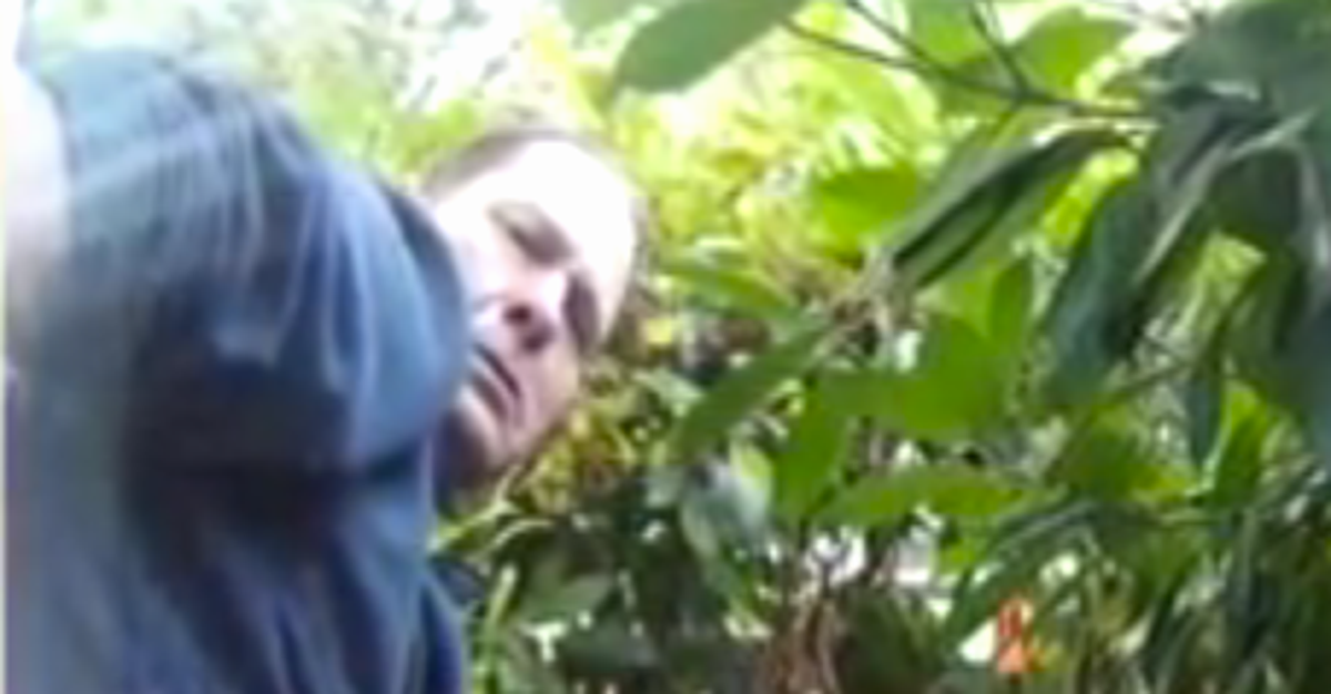 Police Want To Get Hands On 'Portland Pooper' | HuffPost Weird News