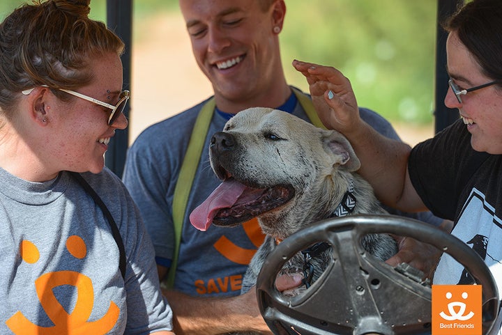 Yogi with his caretakers at Best Friends Animal Society