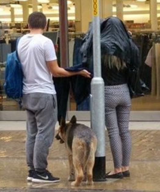 Two kindhearted strangers shelter a dog during a rainstorm.