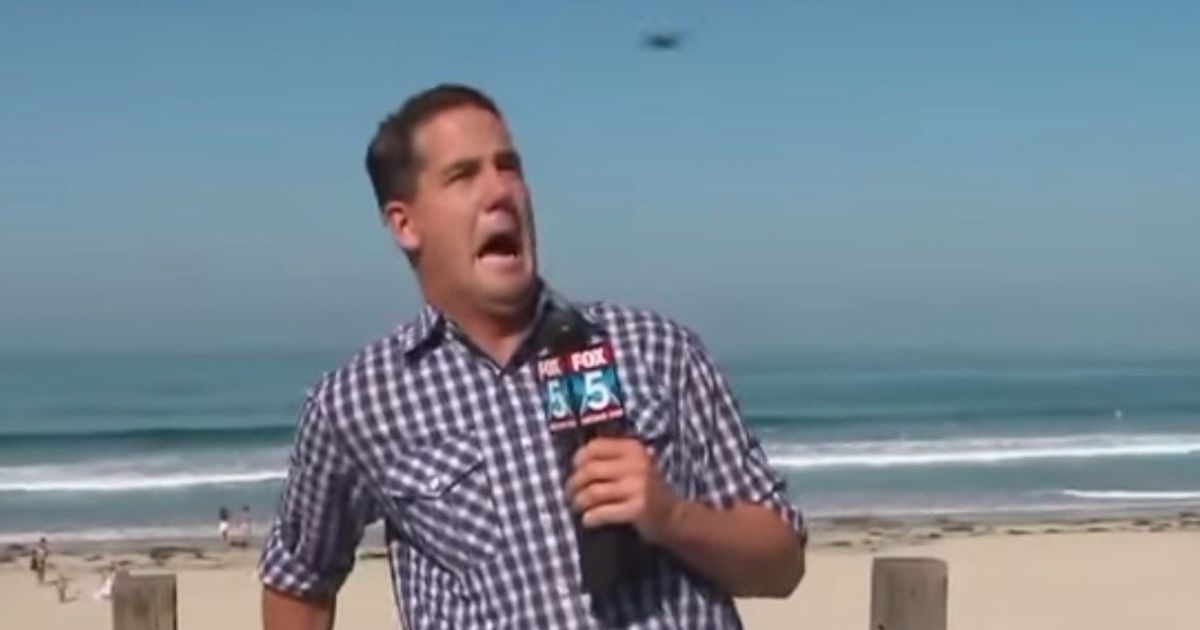 Reporter Totally Freaks Out On Live TV... Over A Big Bug | HuffPost ...