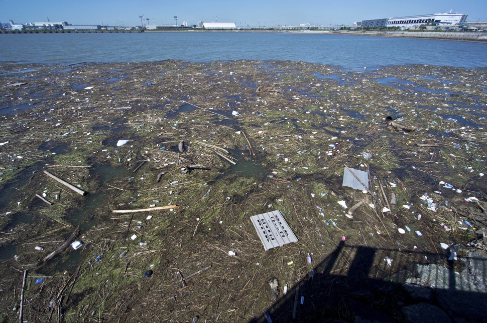 Heartbreaking Photographs Show How We're Ruining The Pacific Ocean