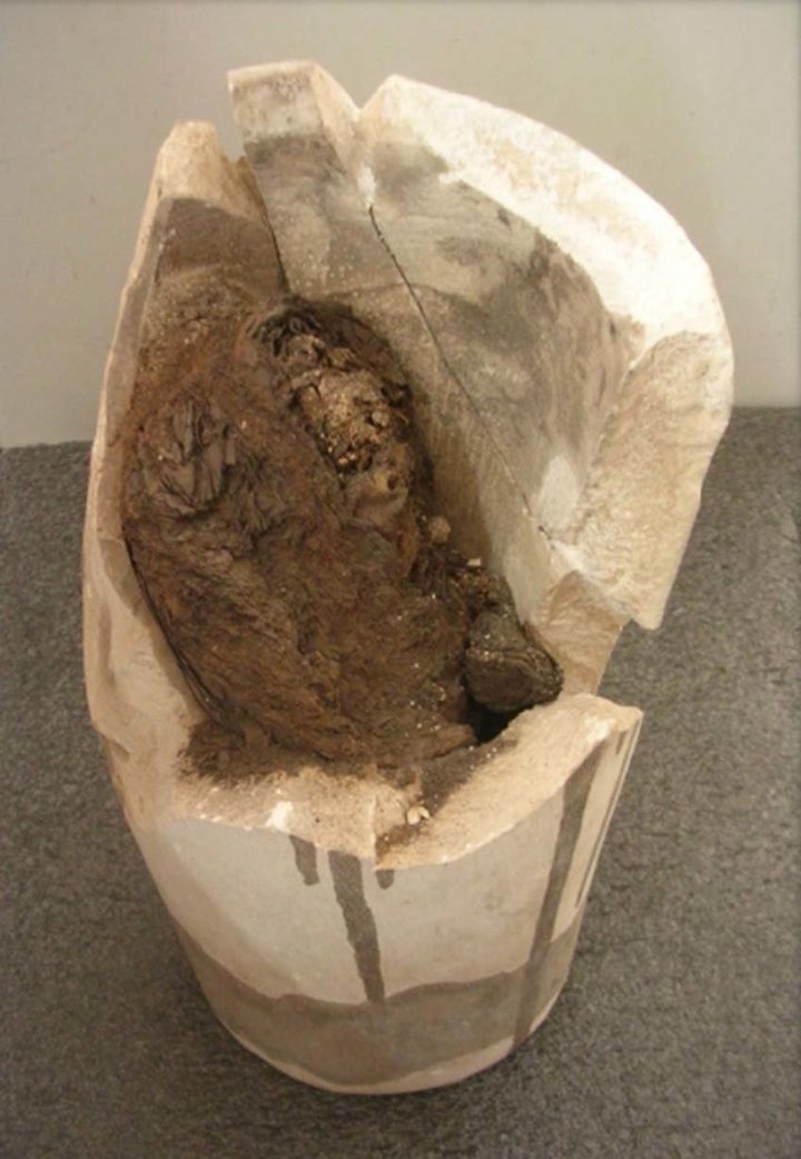 The canopic jar that was used in the study.