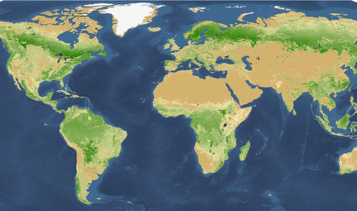 <p>A map of the world's tree population, according to new research.</p>