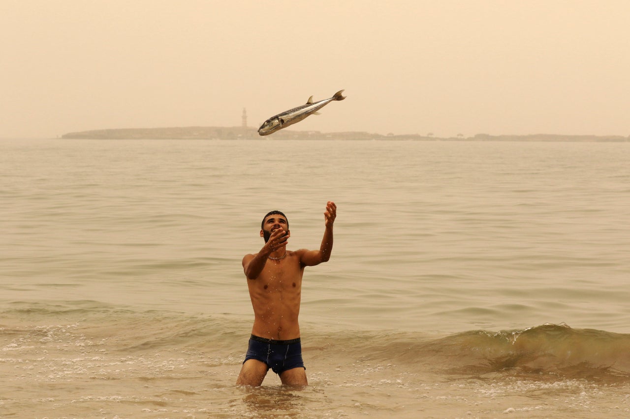 <p>A Lebanese man plays with a fish close to the Sidon Sea Castle during a sandstorm in the southern port city of Sidon, on Sept. 8, 2015. </p>