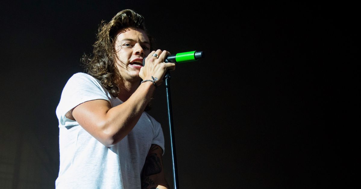 Harry Styles Endearingly Corrects Grammar On Fan's Poster | HuffPost ...
