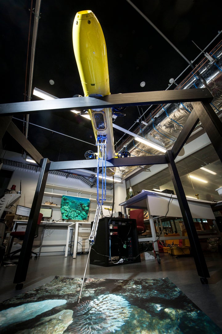 <p>When the COTSbot successfully identifies a crown-of-thorns starfish, its extendable arm delivers a lethal injection to the creature. The bot's complex software system is designed to help it avoid disturbing the surrounding ecosystem.</p>