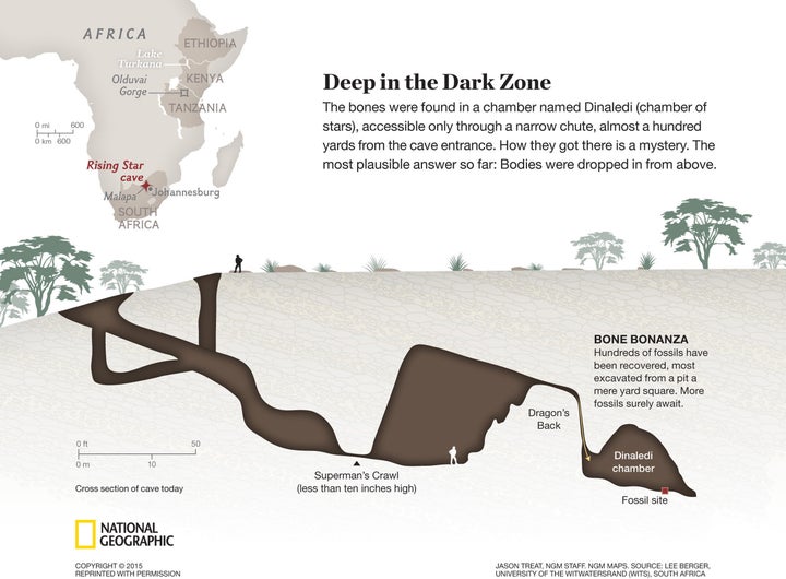 A cross-section showing the chamber within the Rising Star cave near Johannesburg, where the fossils of a new species, Homo naledi, were discovered.