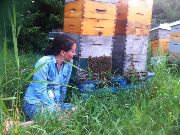 Sabrina Malach observes her bees at Bela Farm, run by Shoresh, a Canadian Jewish environmental group. 