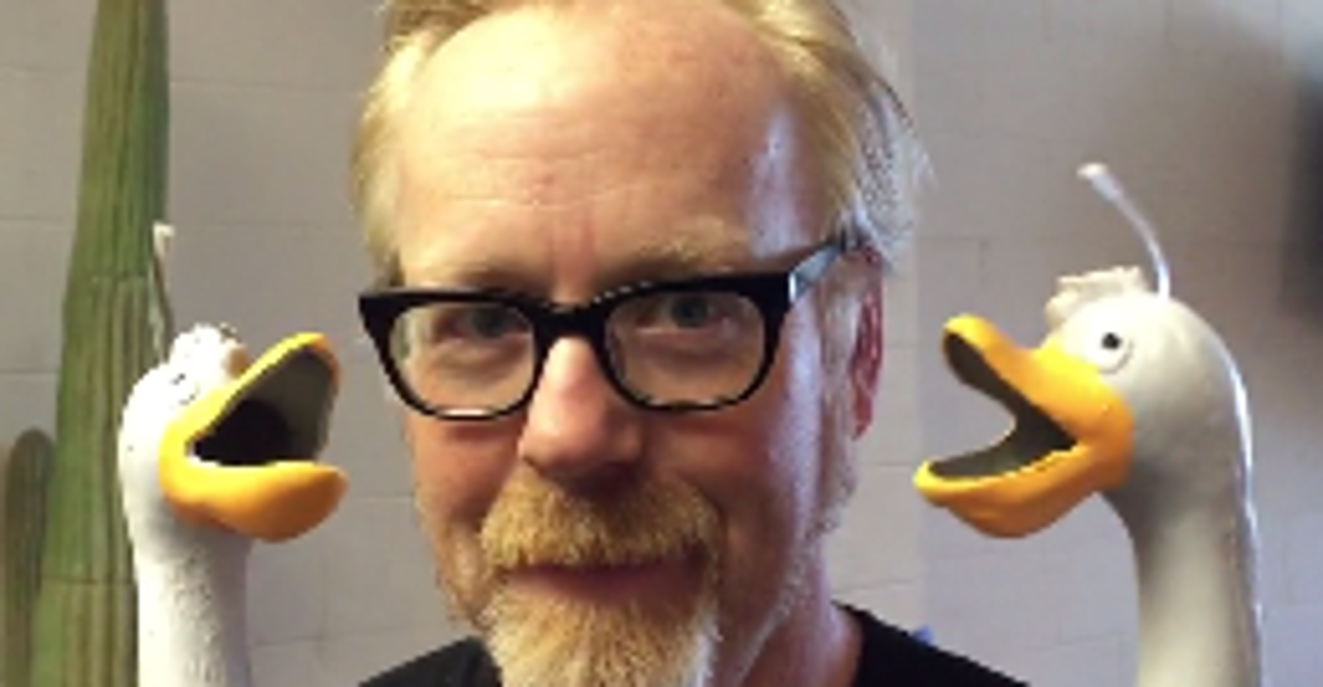 adam savage blundstone