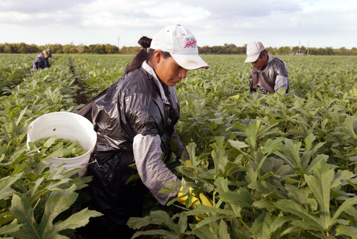 A woman works in a field. On Thursday, five migrant workers who say their bosses raped and harassed them were awarded $17 million in an EEOC lawsuit.