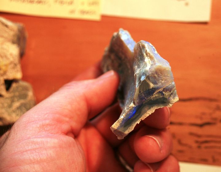 One of the fossilized bones, with a blue streak of color from the opal.