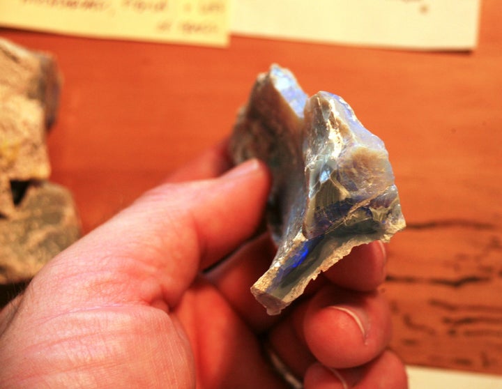 One of the fossilized bones, with a blue streak of color from the opal.