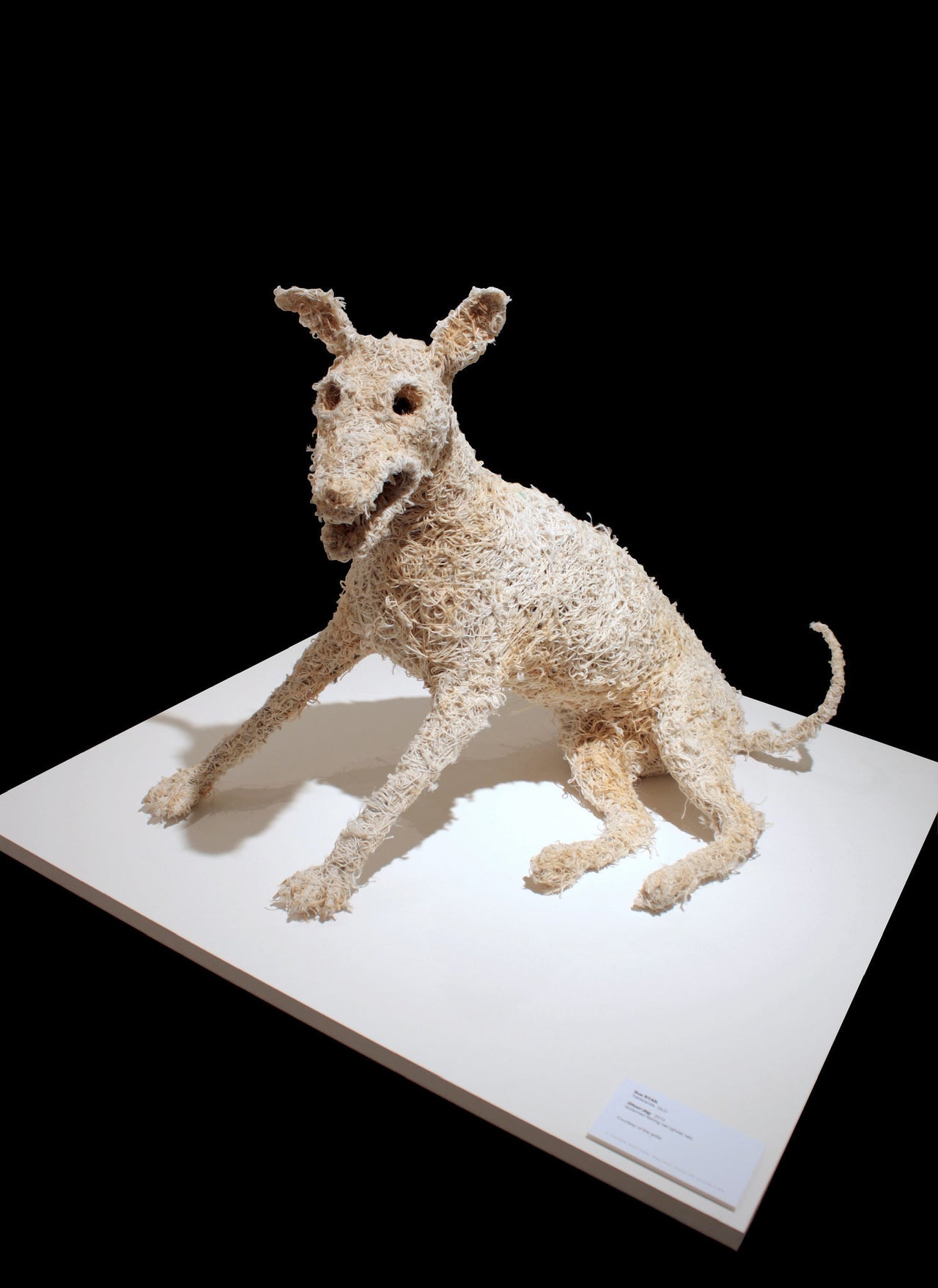 "Ghost Dog," Recycled wire, synthetic ghost net, beach rope, cotton thread