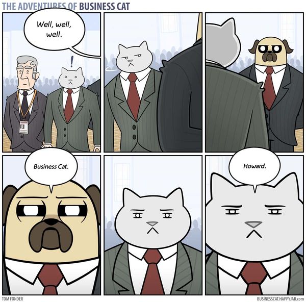 Work Culture Would Change If A Cat Became CEO | HuffPost