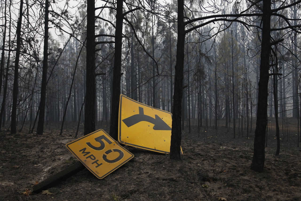 A fallen sign lies near a long a line of burnt trees by State Route 175 in Middletown, California, Sept.13, 2015. 