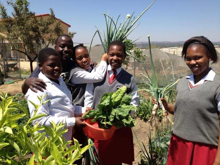 Students in South Africa harvest produce grown at their school's on-site garden.