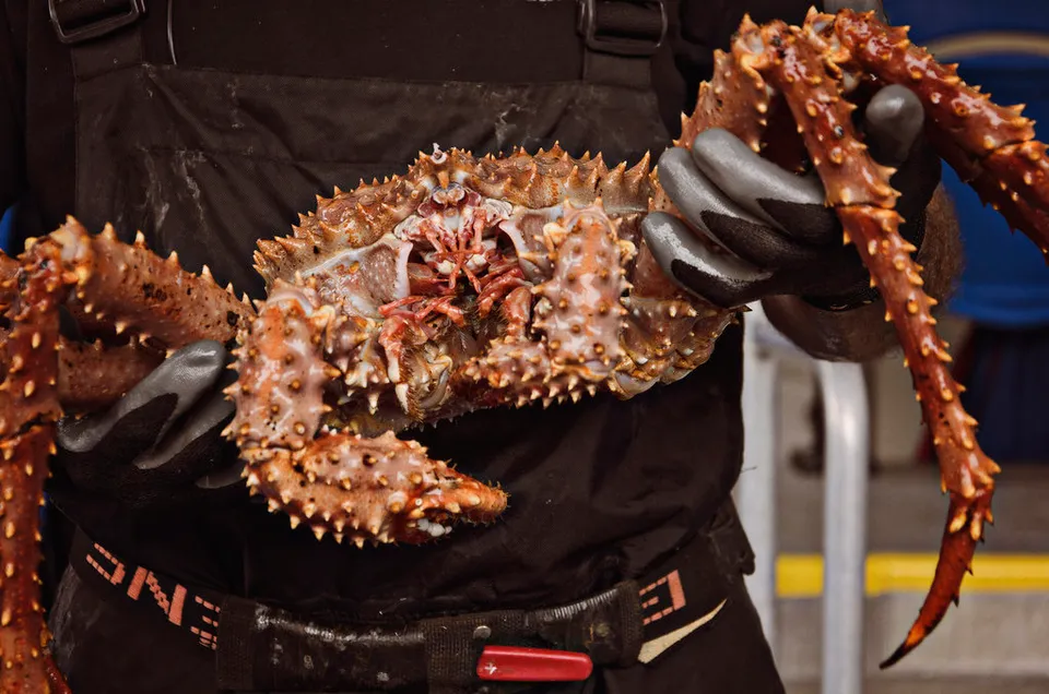12 Types Of Seafood That Are Utterly Terrifying Before Being Cooked |  HuffPost Life