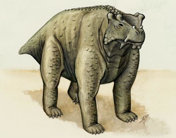 About the same size as a cow, this pre-reptile also stood the same way — upright with its legs underneath. It may be the earliest known creature to do so, according to a new study. 