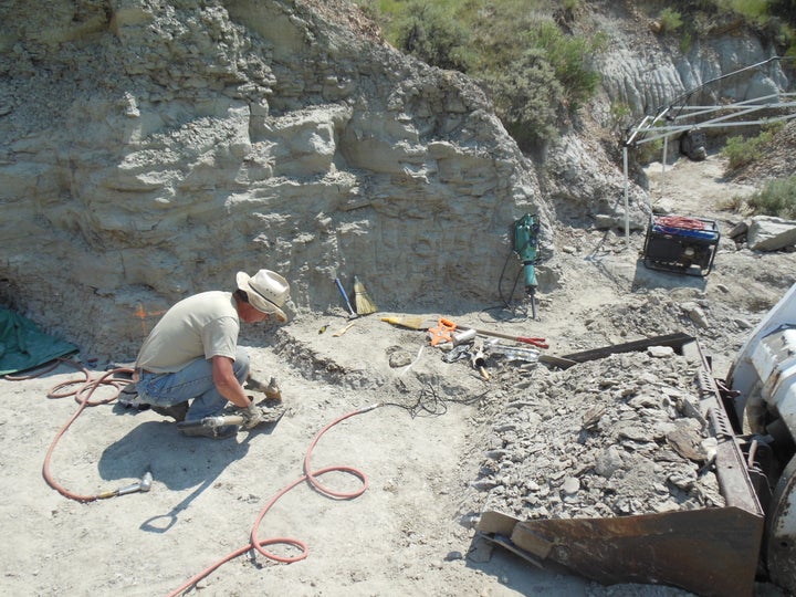 The site of the dig in central Montana.