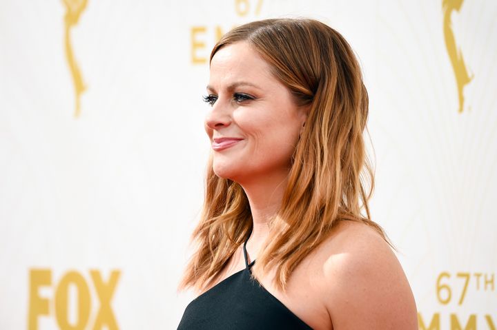 Amy Poehler Rocks Cutouts And Ombré Hair At The Emmys | HuffPost Life
