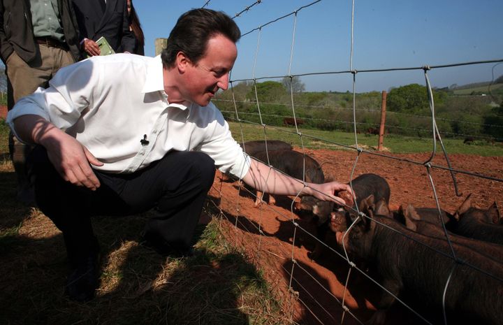 A new biography claims that British Prime Minister David Cameron once inserted "a private part of his anatomy" into the mouth of a dead pig.