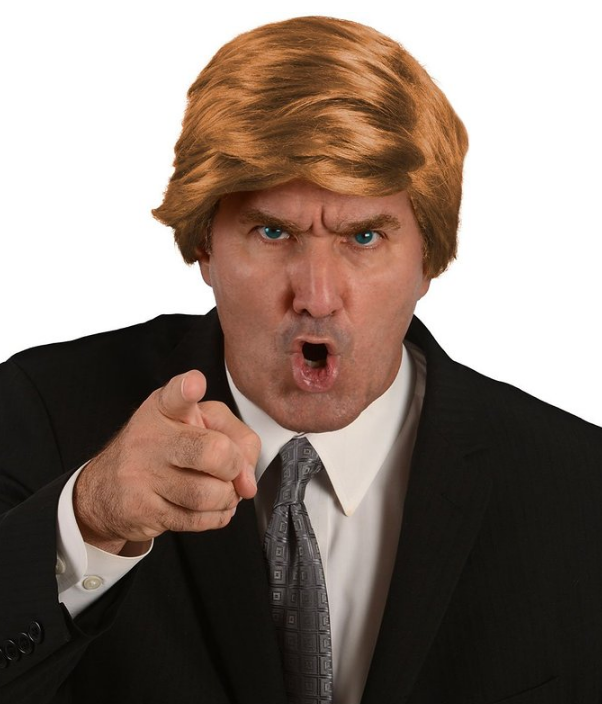 Get Your Donald Trump Wig Now. Halloween Costume, Done. | HuffPost Life