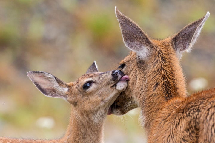 "Psssst... I have a secret."