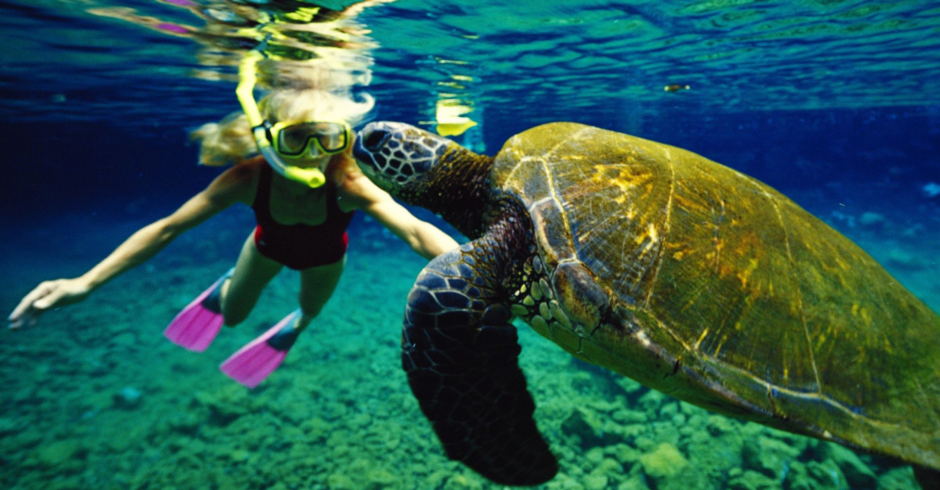 16-of-the-worst-things-you-can-do-in-hawaii-huffpost-life