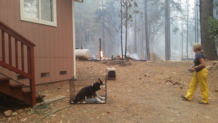 A dog rescue in Gifford Springs, Calif.