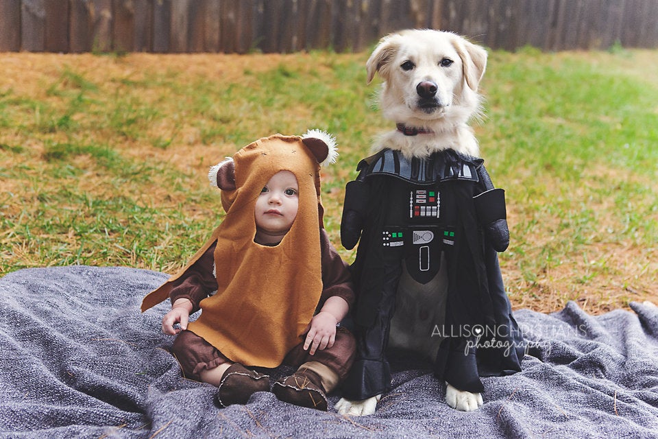 Matching baby outlet and dog costumes