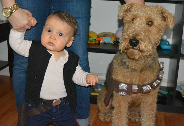 Han Solo Dog Costume
 23 Dog And Kid Halloween Costumes That Will Make You Squeal