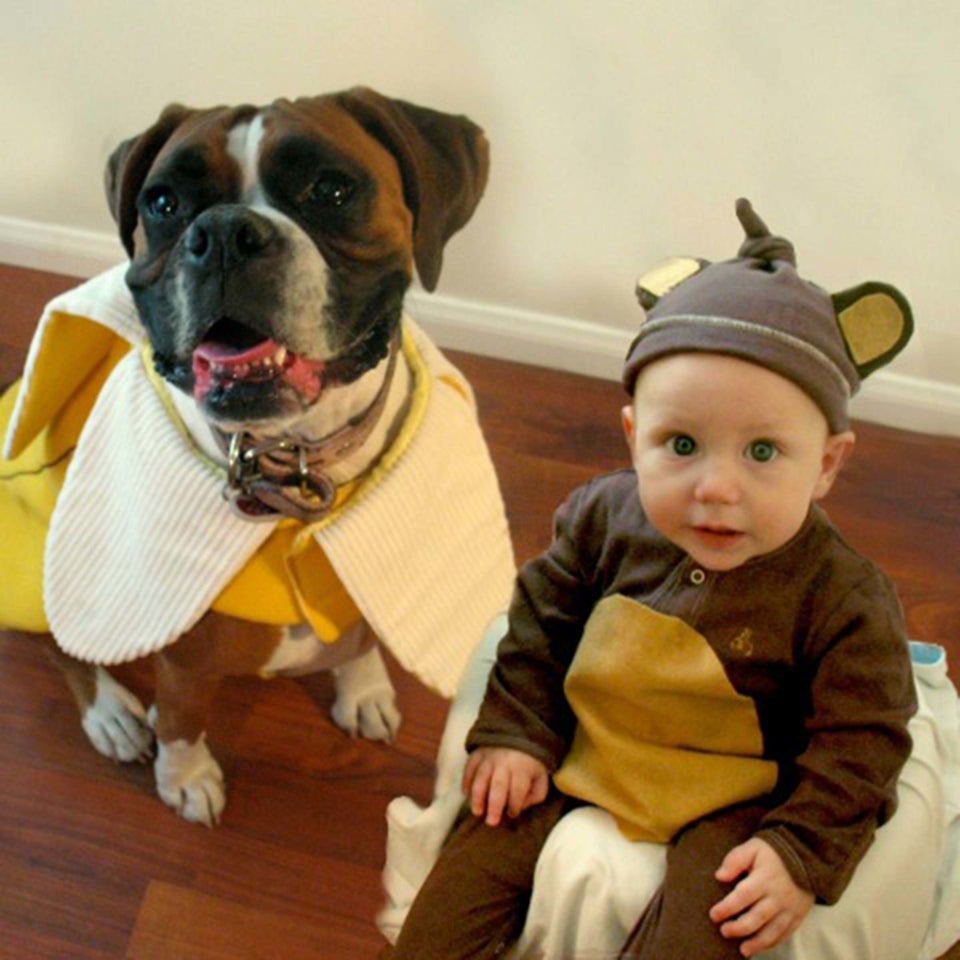 Dog hotsell boy costume