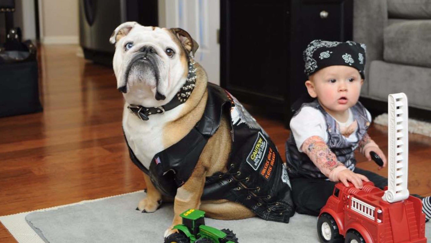 23 Dog And Kid Halloween Costumes That Will Make You Squeal Huffpost Life 23 Dog And Kid Halloween Costumes That Will Make You Squeal Huffpost Life