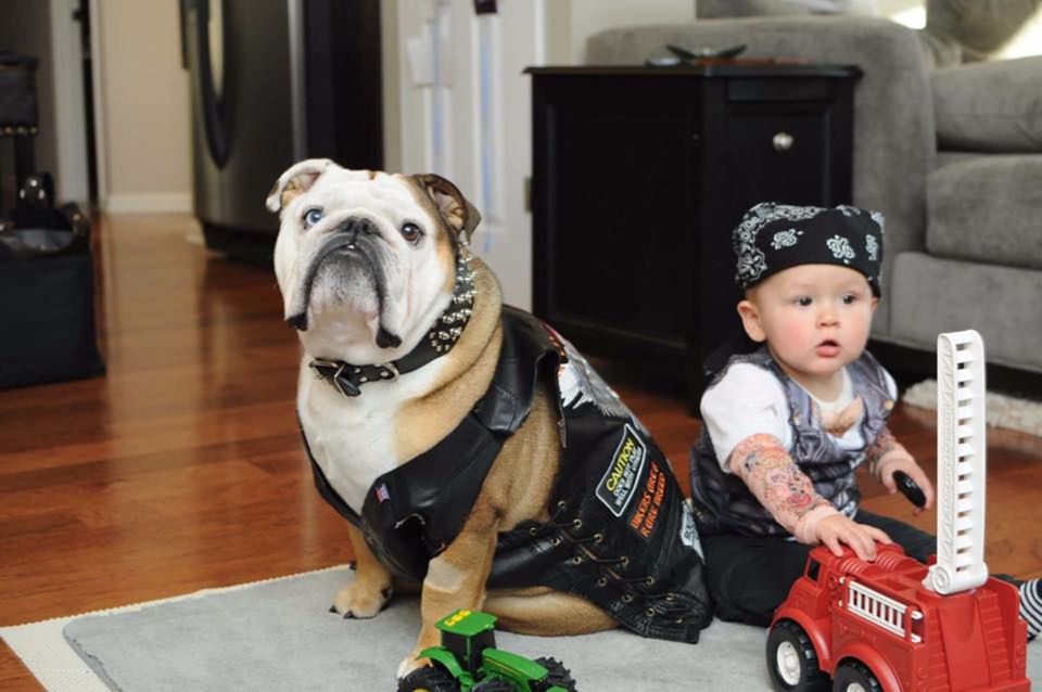 23 Dog And Kid Halloween Costumes That Will Make You Squeal