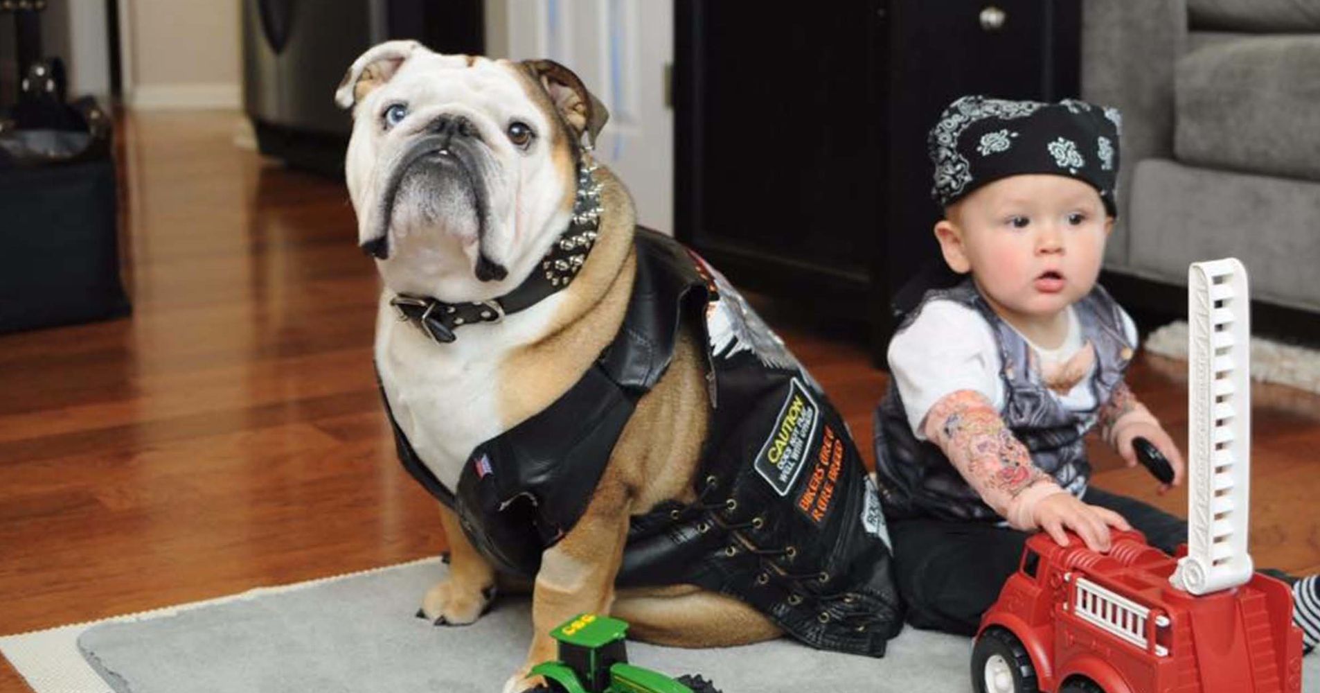 23 Dog And Kid Halloween Costumes That Will Make You Squeal | HuffPost Life