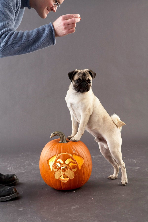 the-free-pumpkin-carving-stencils-you-need-to-try-this-year-huffpost