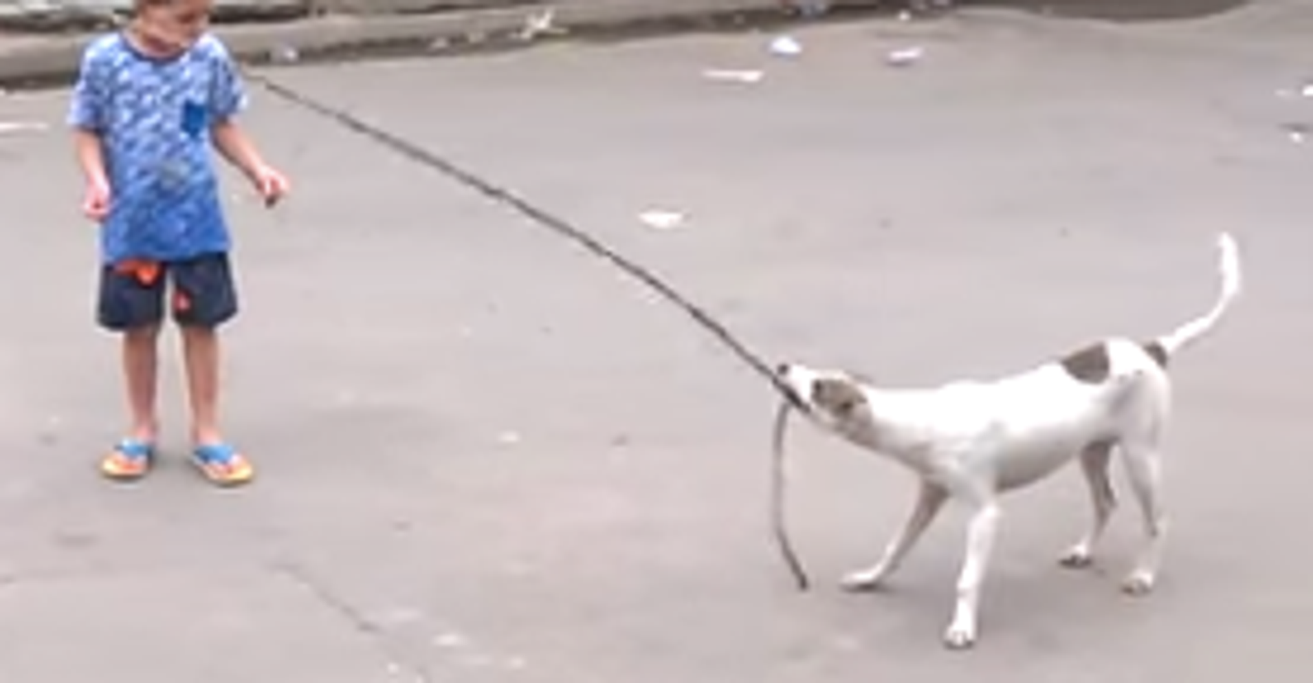 Stray Dog Helping Kids Jump Rope Will Make Your Heart Skip HuffPost