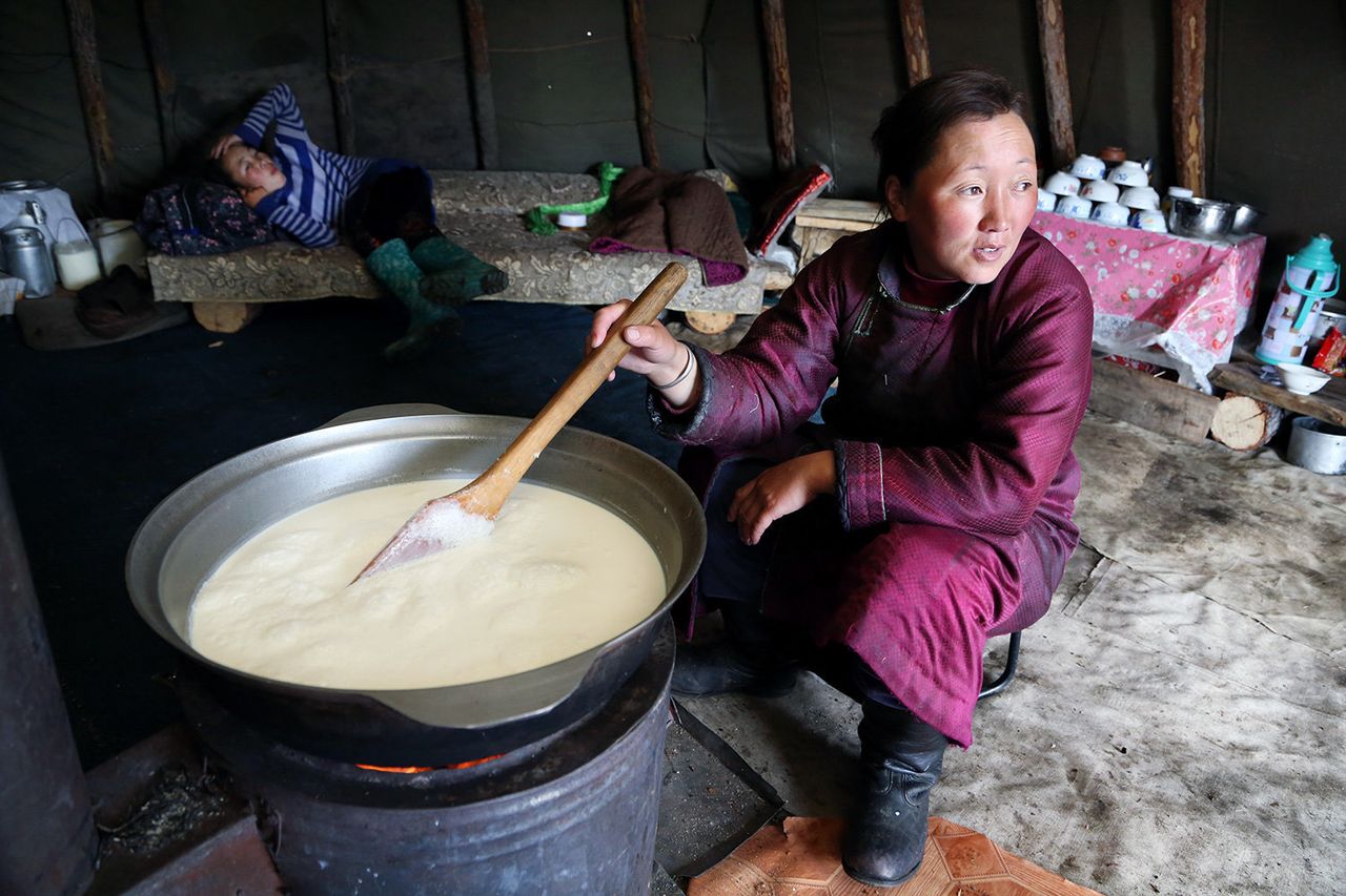 Bolorma is boiling the family's daily milk ration. She will later make cheese out of it.