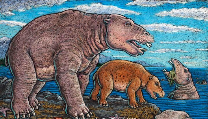 This Hippo-Sized Prehistoric Beast Ate Like A Vacuum Cleaner | HuffPost ...