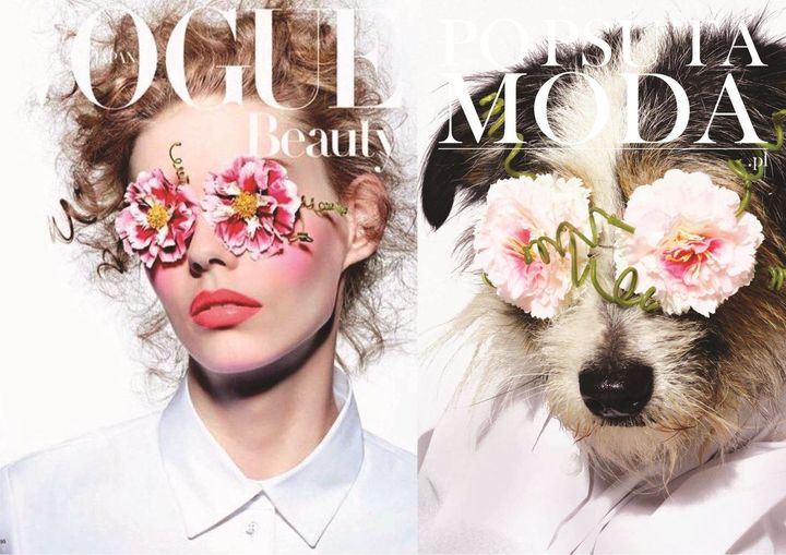 Fashion Magazine Covers Revamped With Rescue Pups Are So Fetch | HuffPost